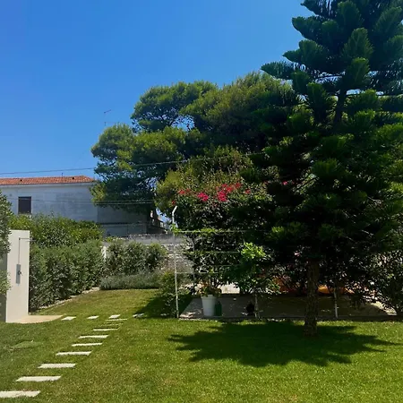 Spirito Santo